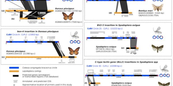 Article teaser image