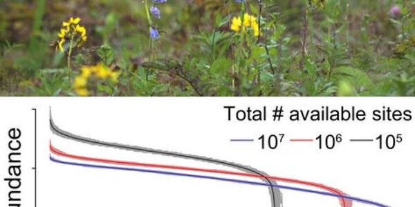 Article teaser image