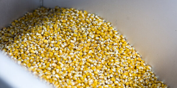 Article teaser image