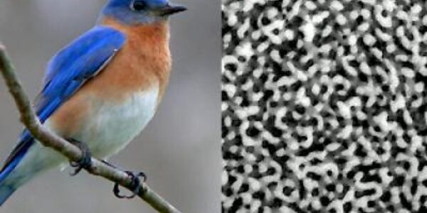 Article teaser image