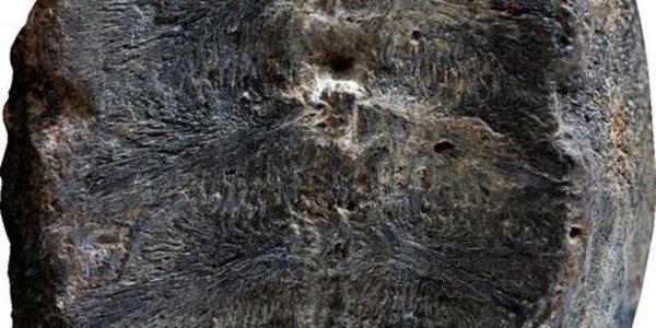 Article teaser image