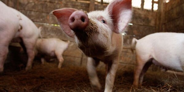 Article teaser image