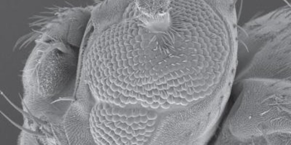 Article teaser image