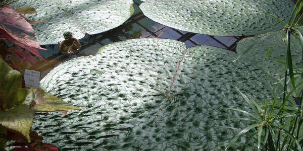 Article teaser image