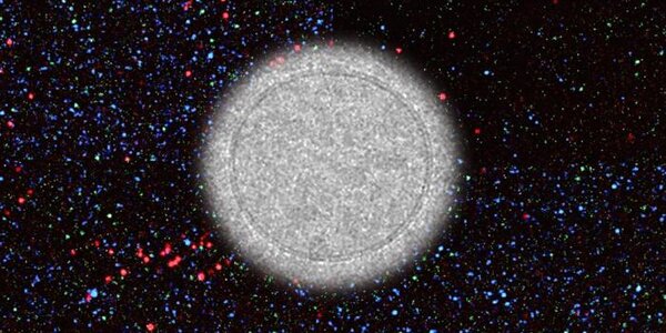 Article teaser image