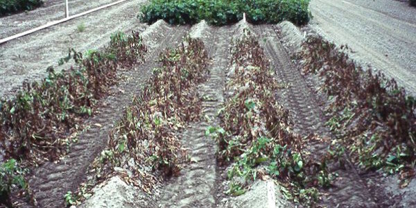 Article teaser image