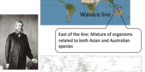 Article teaser image