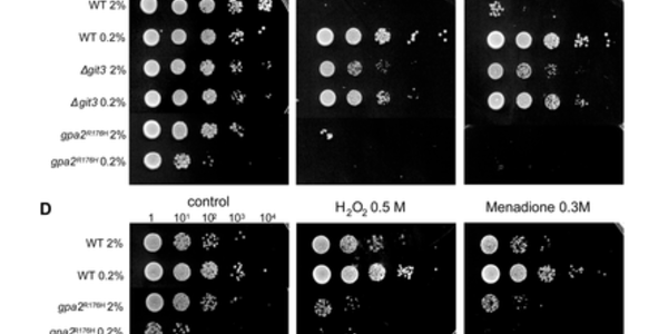 Article teaser image