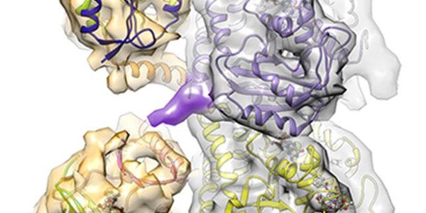 Article teaser image