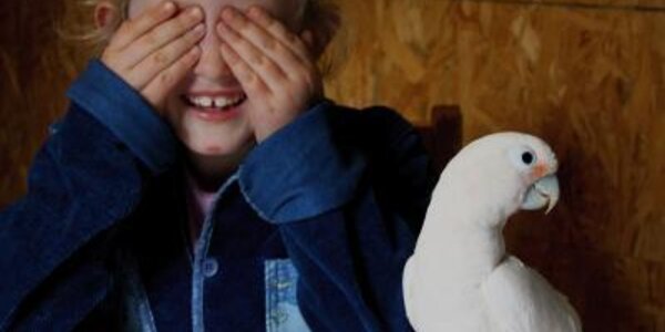 Article teaser image