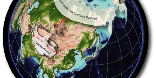 Article teaser image