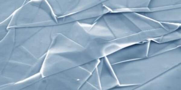 Article teaser image