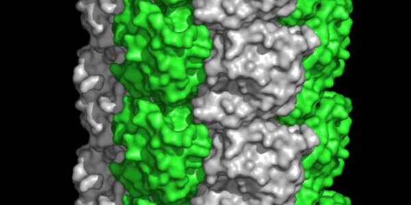 Article teaser image