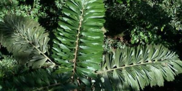 Article teaser image