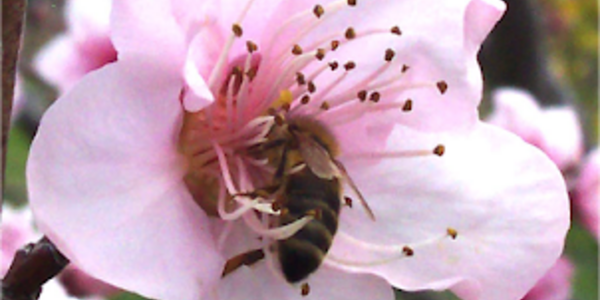 Article teaser image