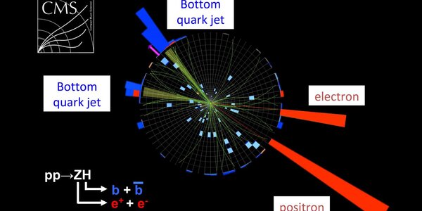 Article teaser image