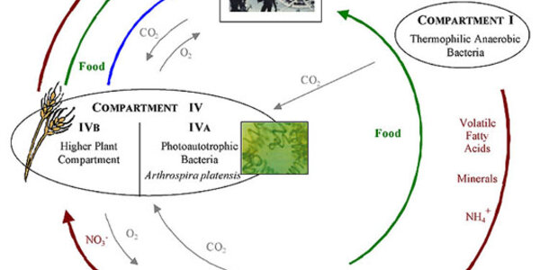 Article teaser image