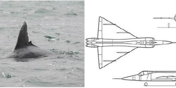 Article teaser image