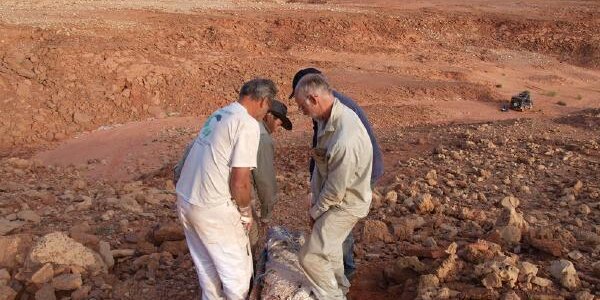 Article teaser image