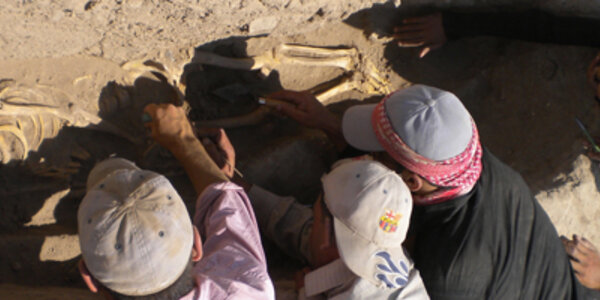 Article teaser image