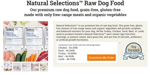 Article teaser image