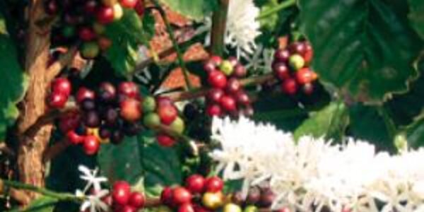 Article teaser image