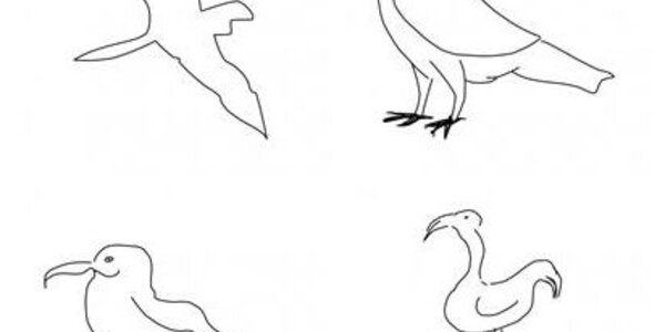 Article teaser image