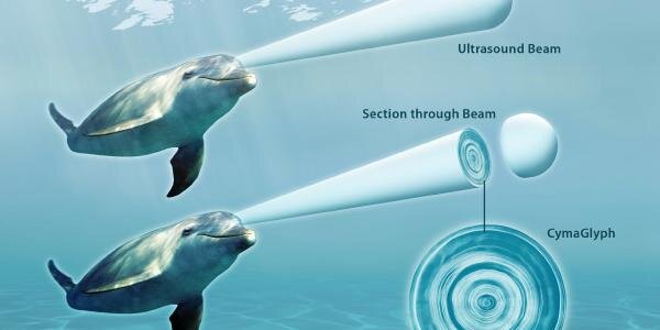 Article teaser image