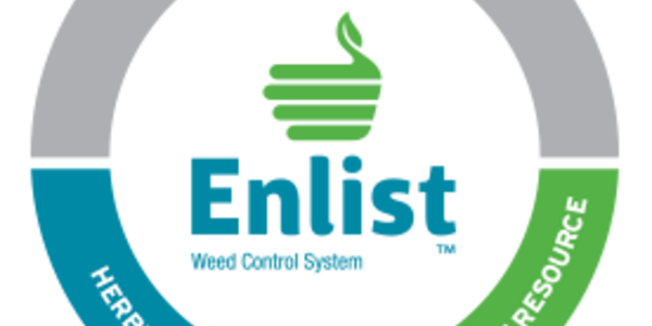 Article teaser image