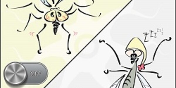 Article teaser image