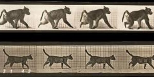 Article teaser image