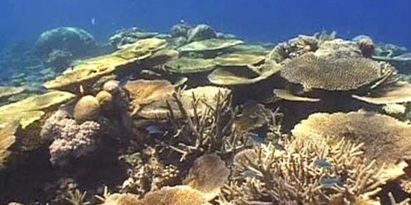 Article teaser image