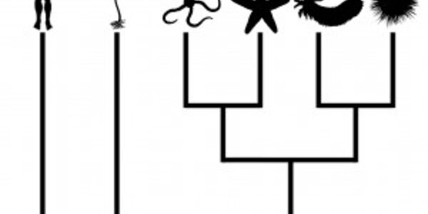 Article teaser image