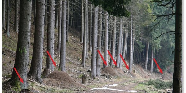 Article teaser image