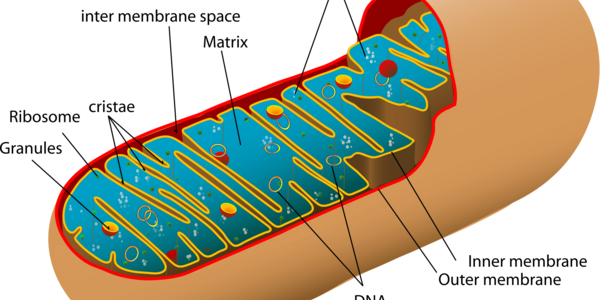 Article teaser image