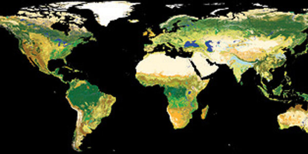 Article teaser image