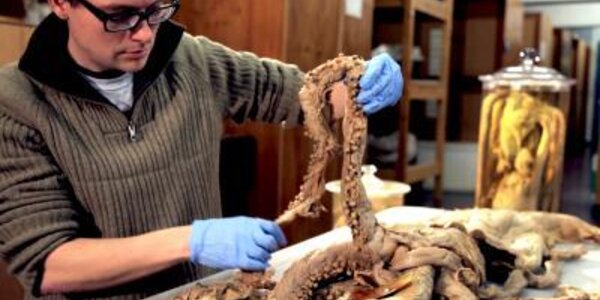 Article teaser image