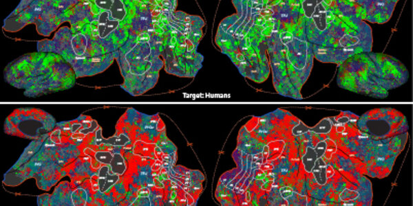 Article teaser image