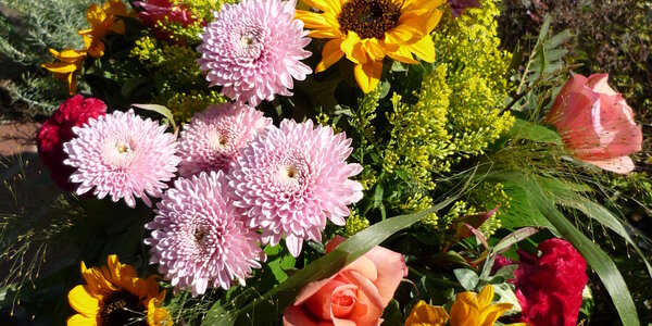 Article teaser image