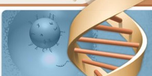 Article teaser image