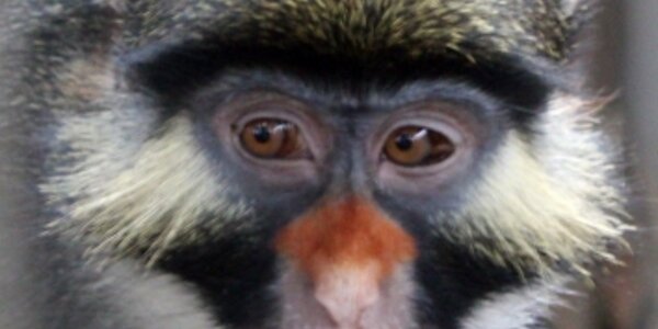 Article teaser image