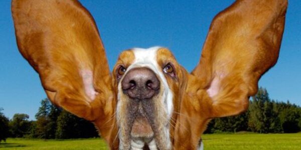 Article teaser image