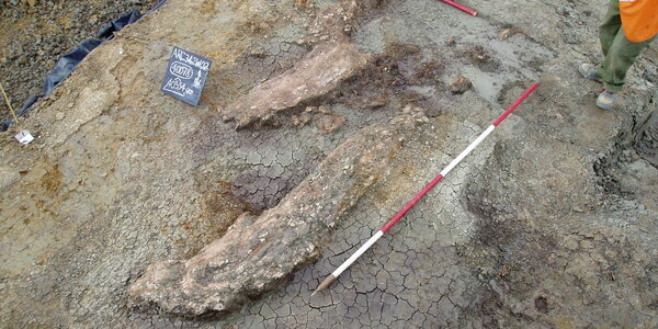 Article teaser image