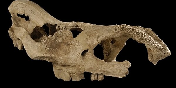 Article teaser image