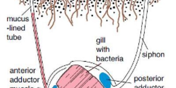 Article teaser image