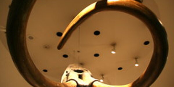 Article teaser image