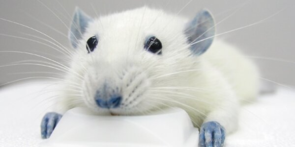 Article teaser image