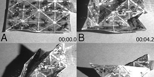 Article teaser image