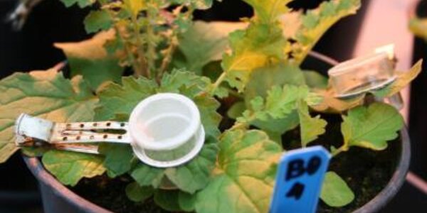 Article teaser image