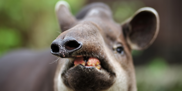 Article teaser image